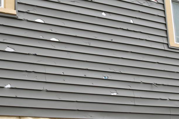 Best Storm Damage Siding Repair  in Three Points, AZ